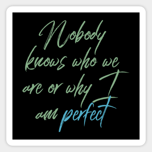 Nobody knows who we are or why I Am Perfect Motivation Inspiration Magnet